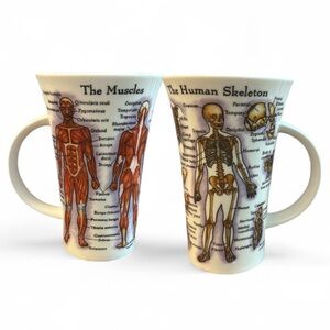 Dunoon Fine Bone China The Human Body Mug